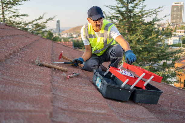 Best Hoarding Cleanup  in Chelsea Cove, NY